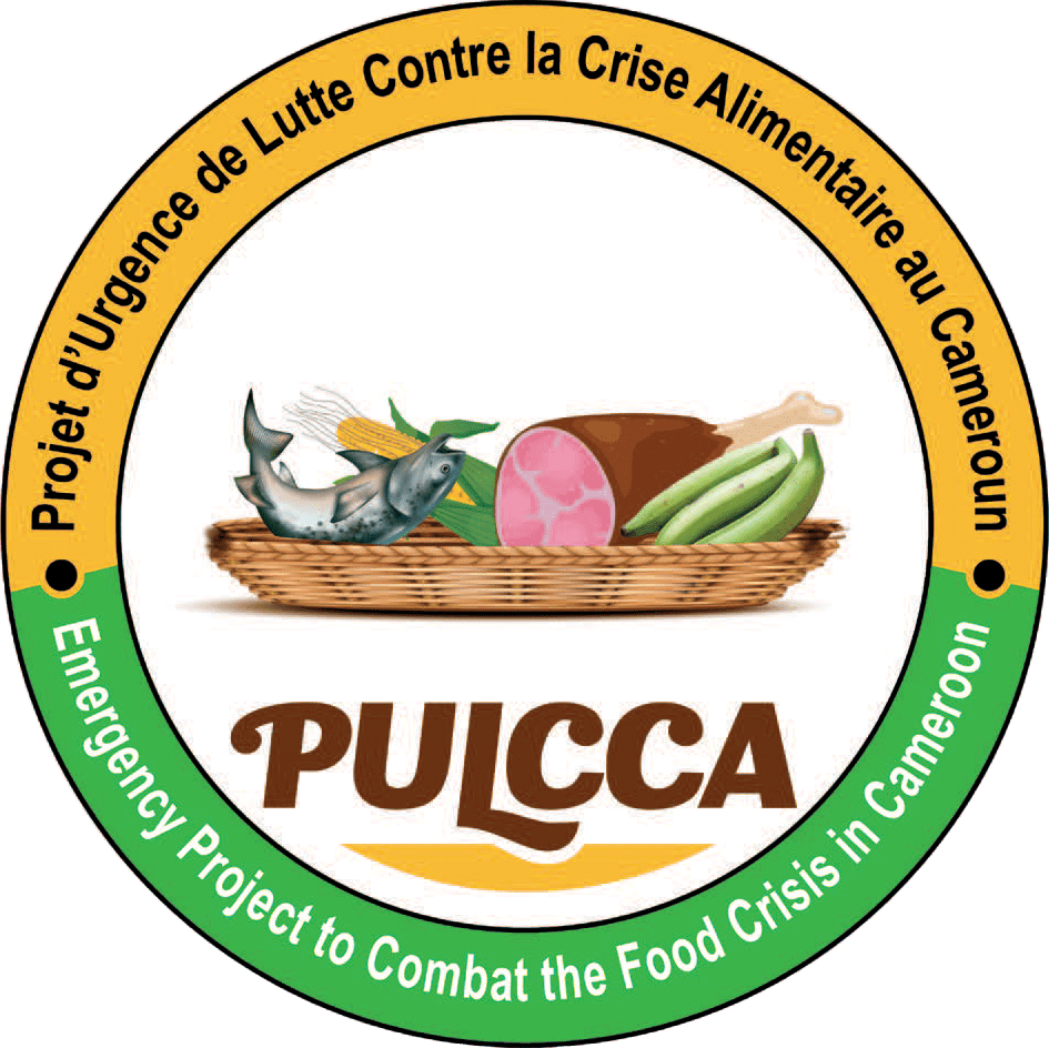 PULCCA