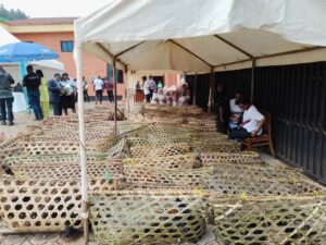 livestock assistance