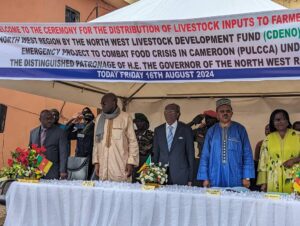 livestock assistance