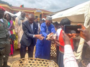 livestock assistance