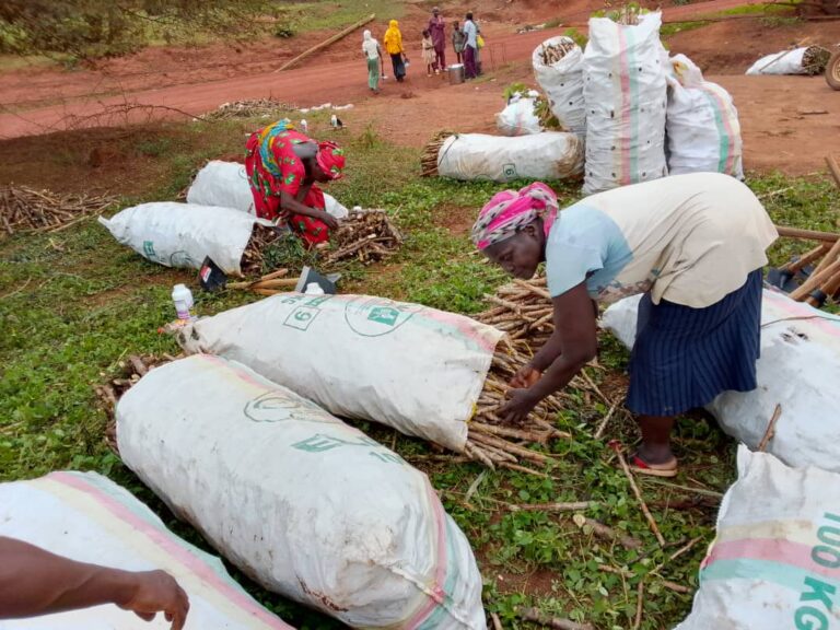 Distribution Kits agricoles