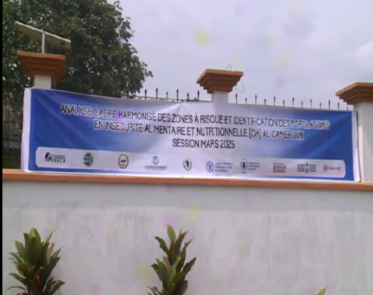 -News from the field -Participants in a workshop on the analysis of the food and nutrition insecurity situation in Cameroon -Ebolowa, 9th to 15th march 2025