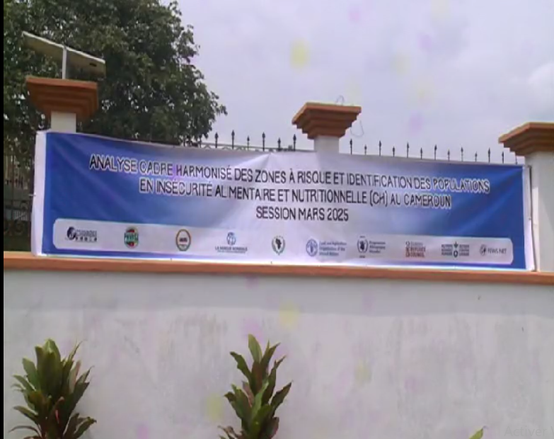 -News from the field -Participants in a workshop on the analysis of the food and nutrition insecurity situation in Cameroon -Ebolowa, 9th to 15th march 2025