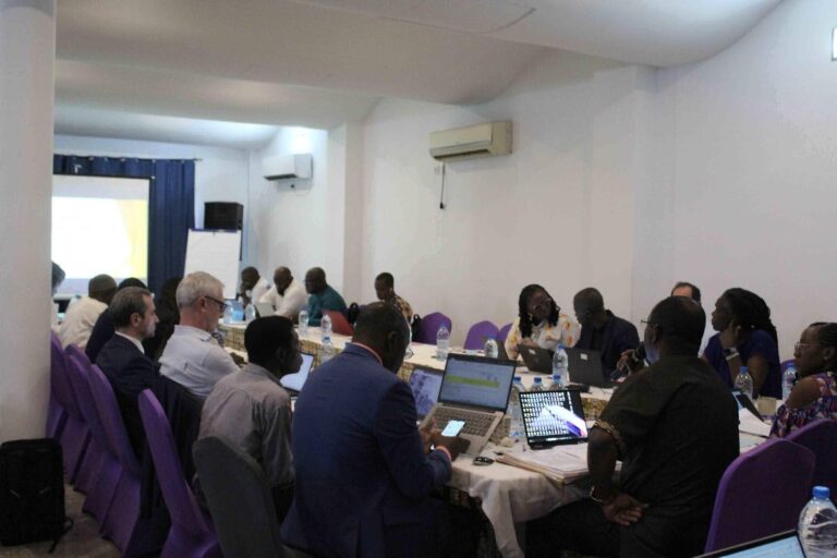 Brainstorming à  Douala pour restitution et efficacité