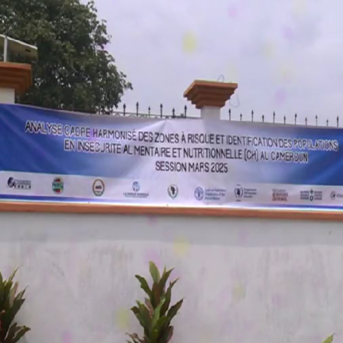-News from the field -Participants in a workshop on the analysis of the food and nutrition insecurity situation in Cameroon -Ebolowa, 9th to 15th march 2025