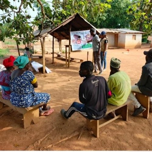 A Gbakombo, près de Bertoua, la FAO et son partenaire de mise en œuvre ADEES œuvrent pour une production accrue des ignames