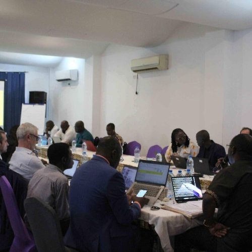 Brainstorming à  Douala pour restitution et efficacité
